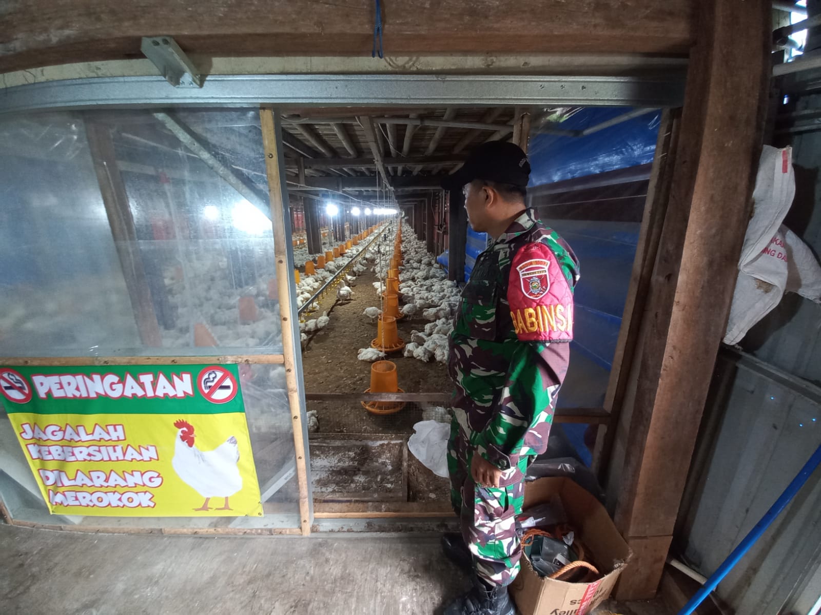 Perkuat Kemanunggalan TNI–Rakyat, Babinsa Dampingi Peternak Ayam