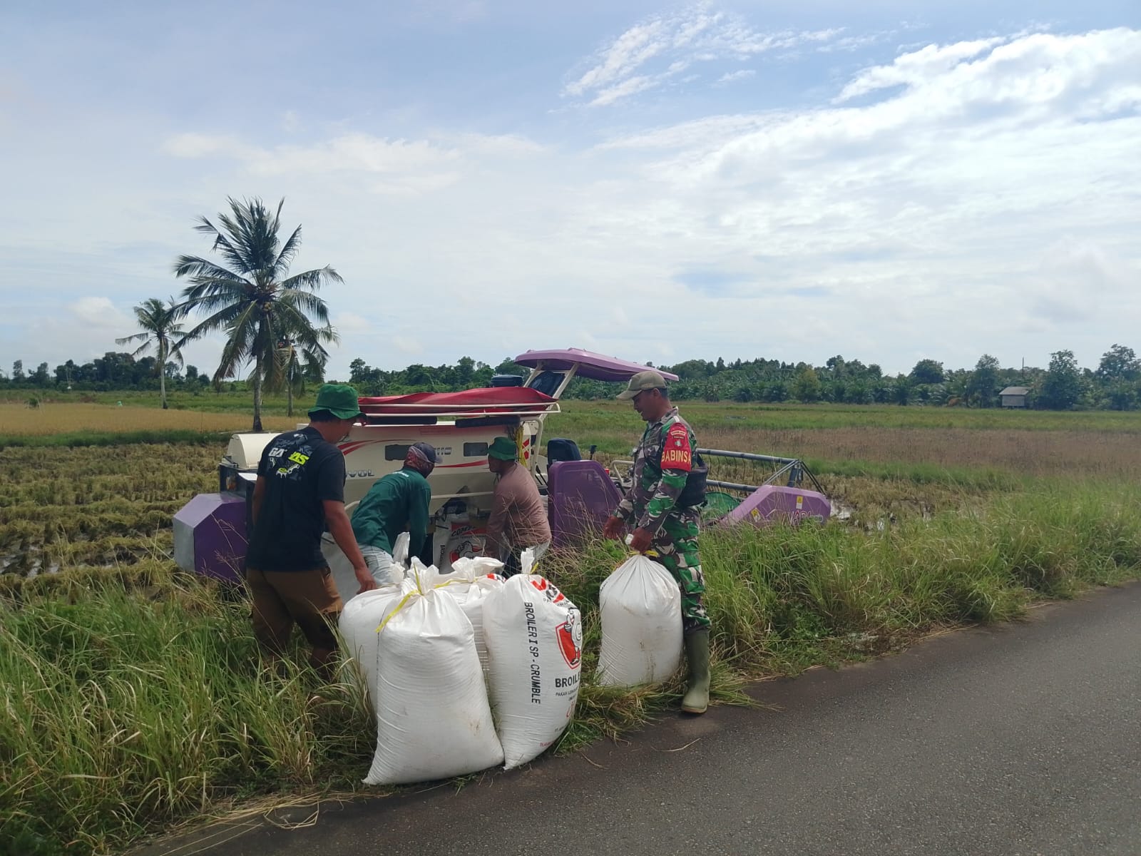 Panen Padi Bersama Petani, Babinsa Apresiasi Kinerja Petani dalam Mewujudkan Ketahanan Pangan