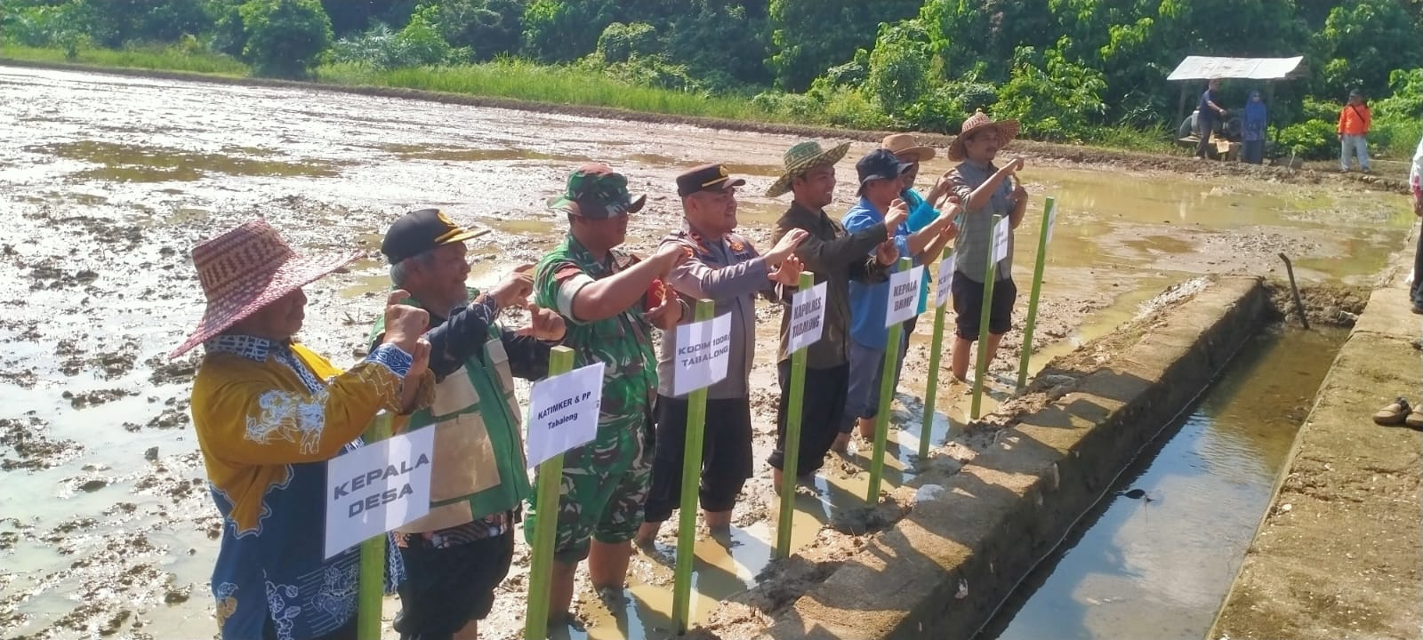 Babinsa dan Petani Bersinergi Wujudkan Swasembada Pangan di Tabalong