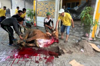 Kolaborasi Tiga Media Online Gelar Kurban Iduladha 1447 H untuk Warga Gresik dan Surabaya