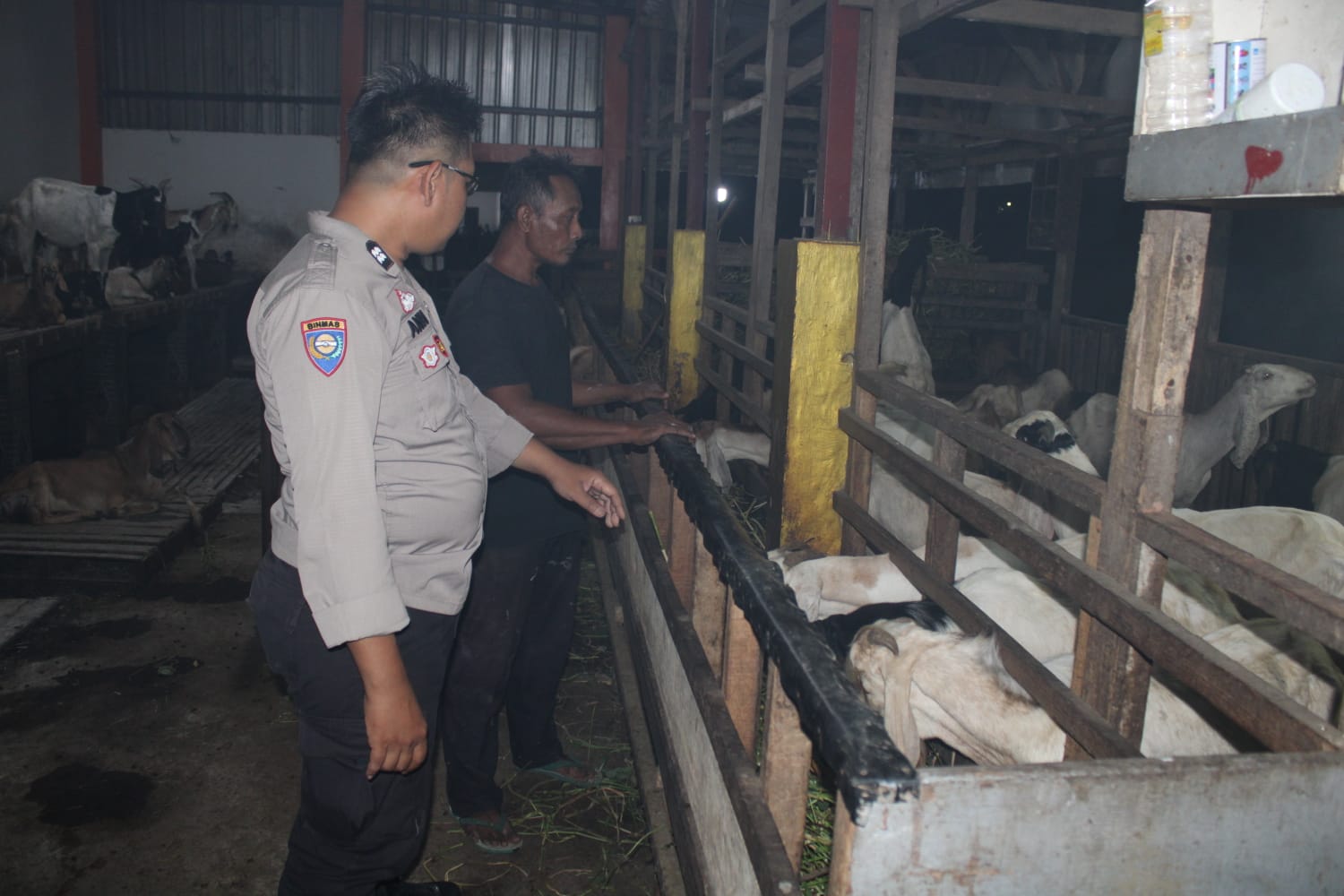 Dukung Ketahanan Pangan, Bhabinkamtibmas Polsek Pakal Sambangi Peternak Kambing di Sumberrejo